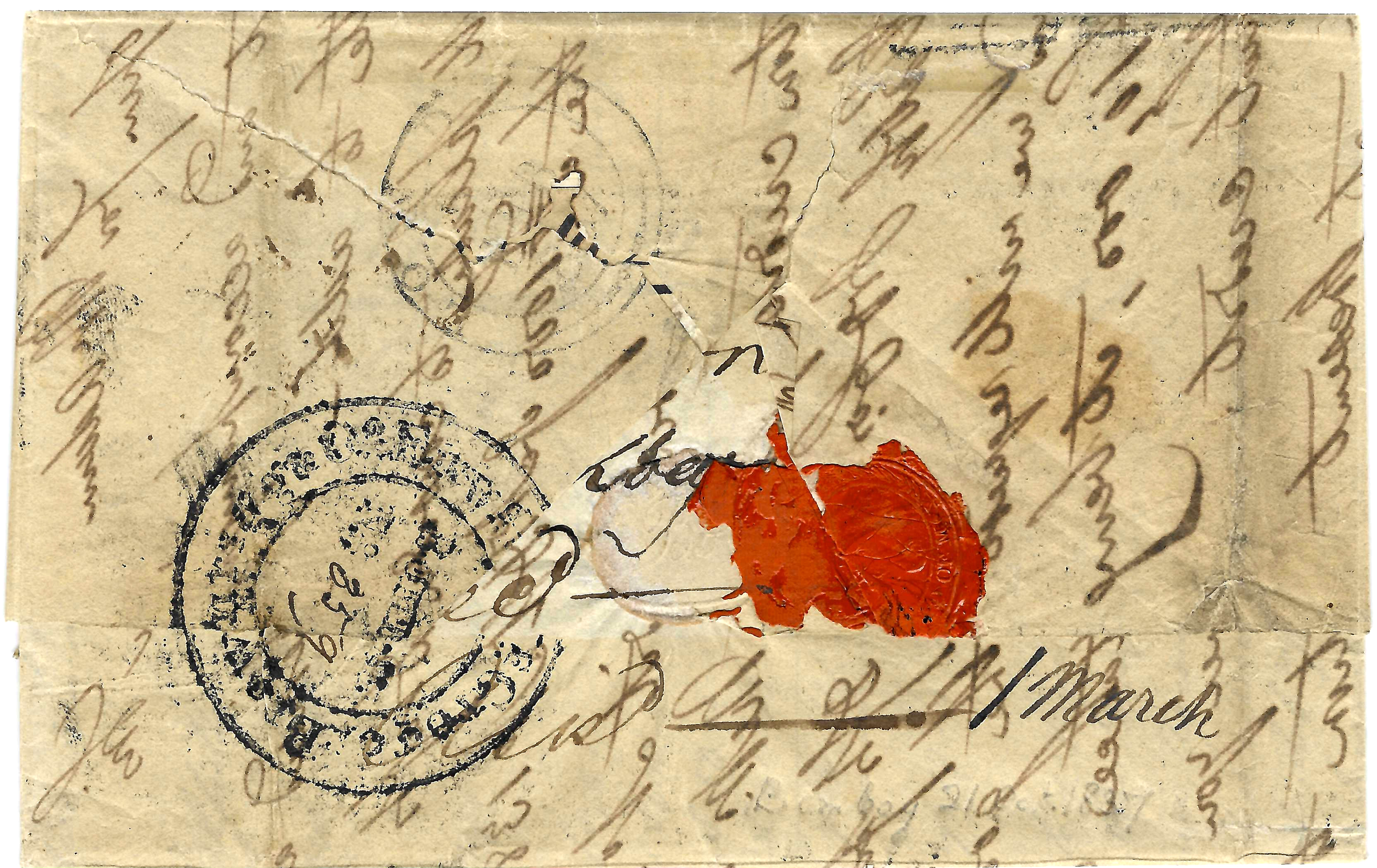 COV-2860 — back