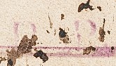FP 10 handstamp from Goa